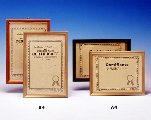 Citation Frame